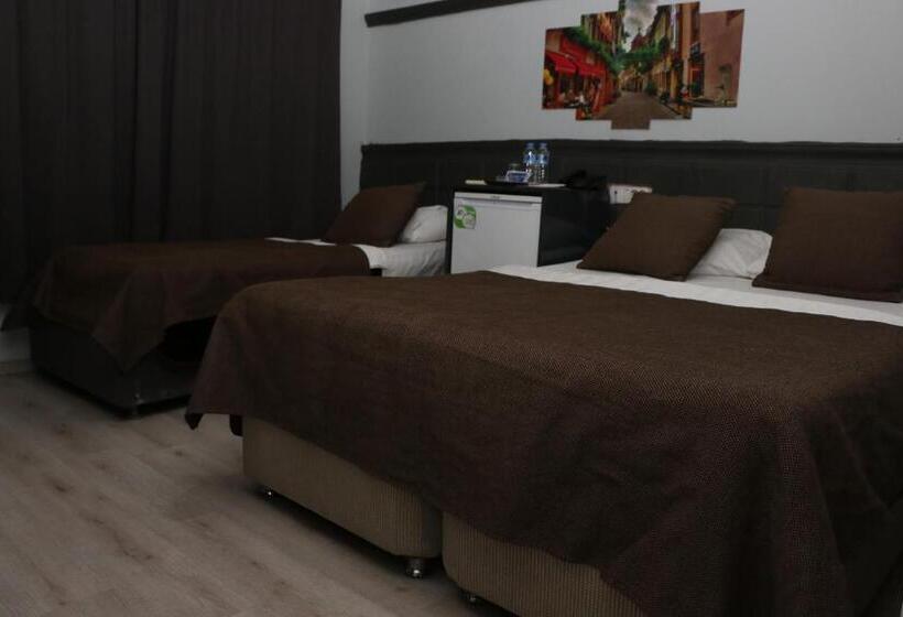 Трехместный Номер Стандарт Вид на Сад, Asus Palmiye Otel