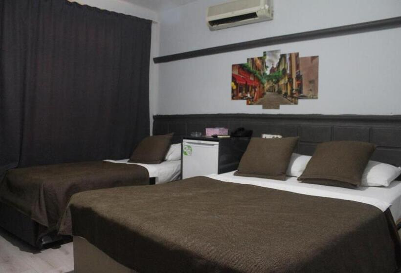 Трехместный Номер Стандарт Вид на Сад, Asus Palmiye Otel