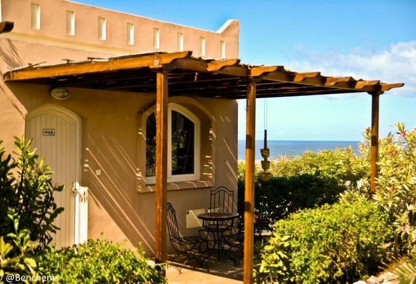 スタンダードルーム, Aftas Trip