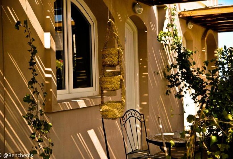 スタンダードルーム, Aftas Trip