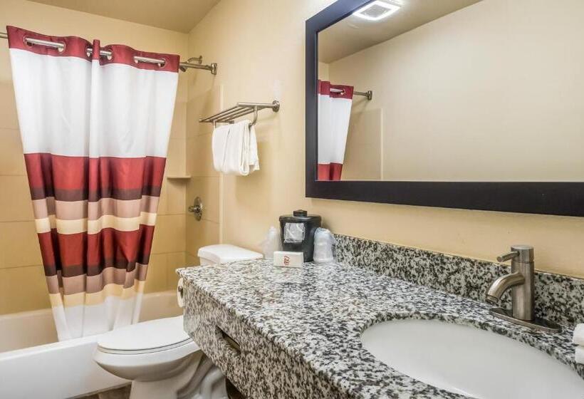 带大床的高级房间, Red Roof Inn Chicago  Alsip