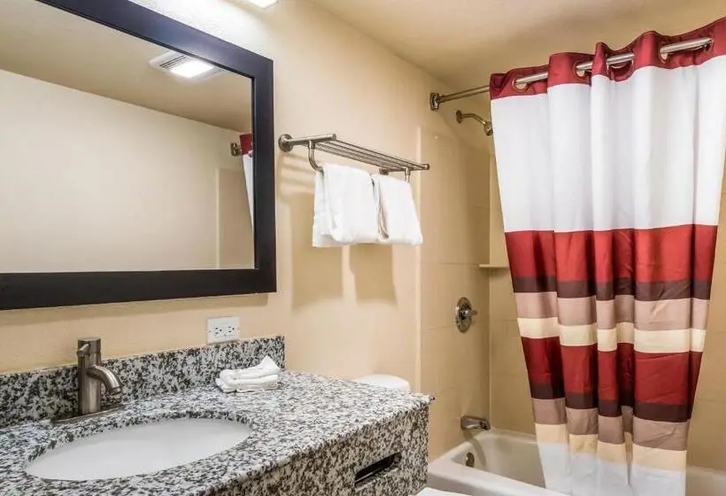 キングサイズベッドのデラックスルーム, Red Roof Inn Chicago  Alsip