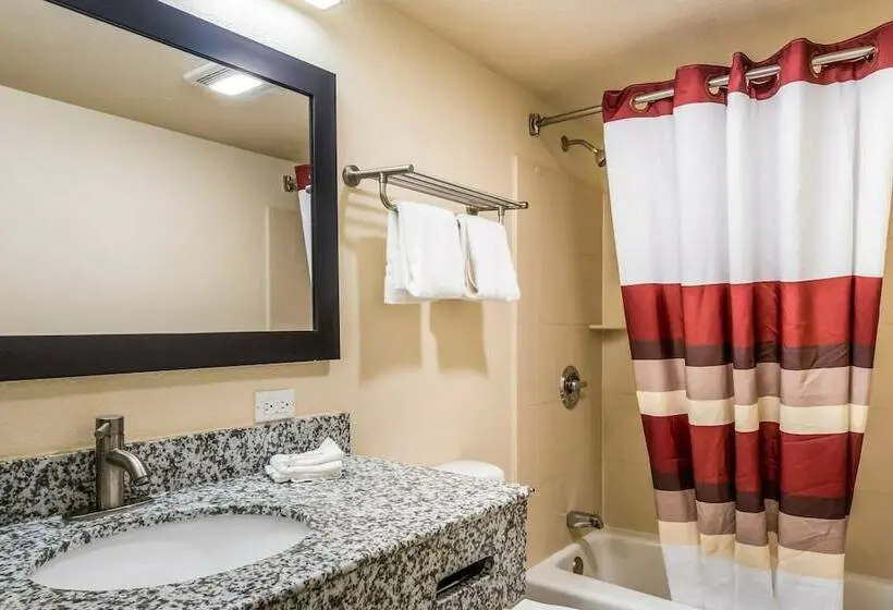 デラックスルーム, Red Roof Inn Chicago  Alsip