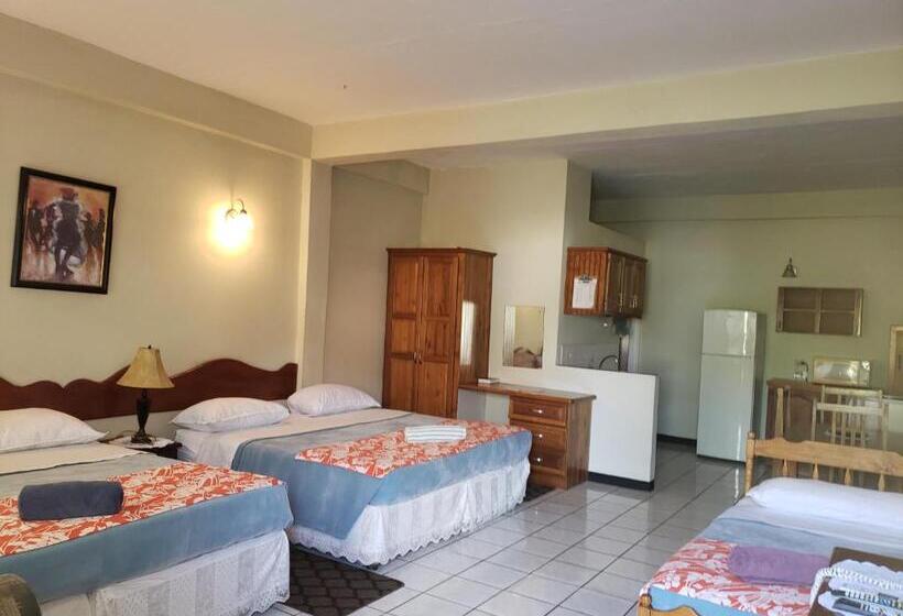 اتاق اکونومی, Viola's Place