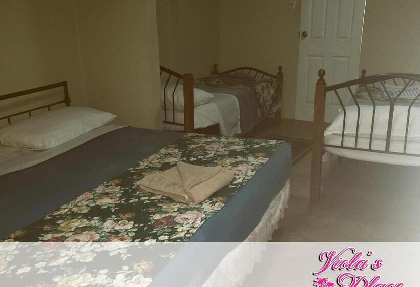 اتاق ساده سه نفره, Viola's Place