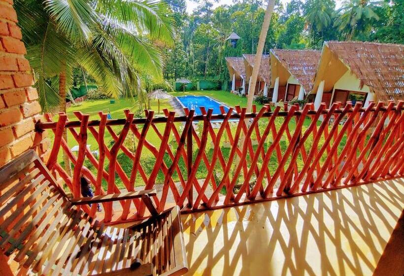 Номер Стандарт Вид на Бассейн, Airport Resort