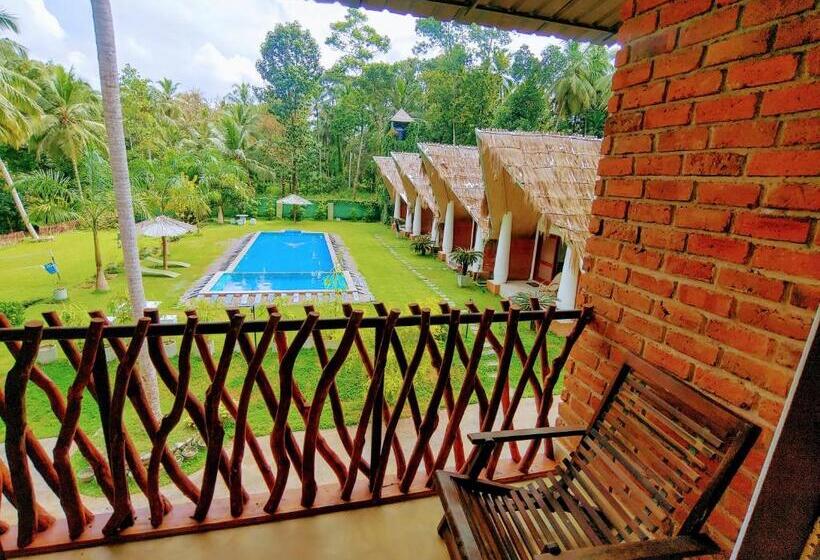 Номер Стандарт Вид на Бассейн, Airport Resort