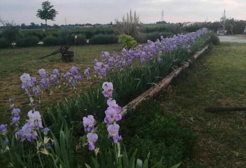 سوییت جونیور لوکس, Ca' Blanca
