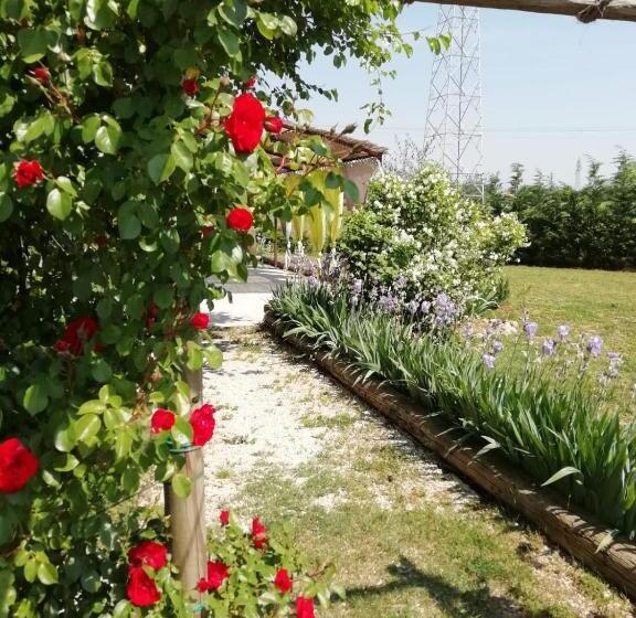 سوییت جونیور لوکس, Ca' Blanca