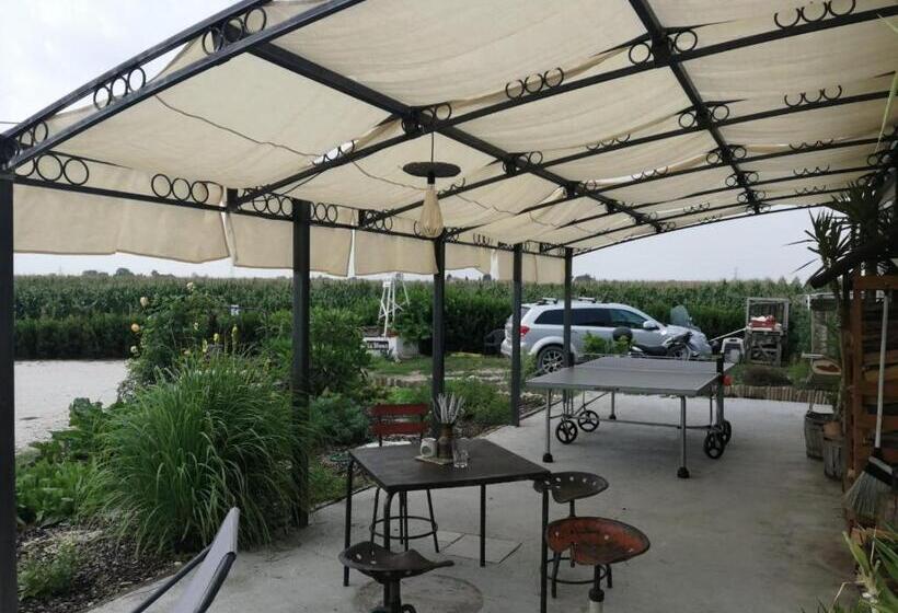 سوییت جونیور, Ca' Blanca