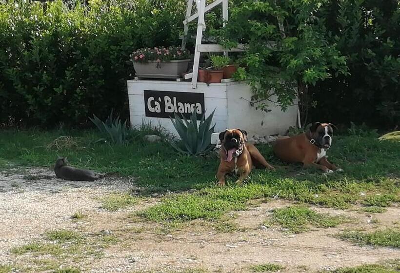 سوییت جونیور, Ca' Blanca