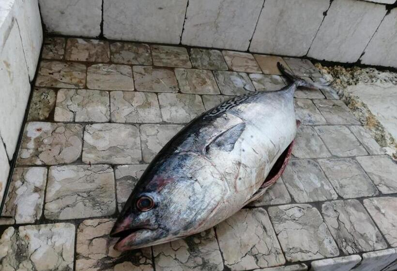 سوییت جونیور, Ca' Blanca