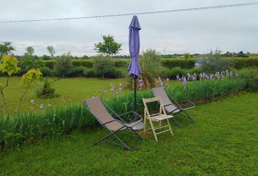 اتاق استاندارد, Ca' Blanca