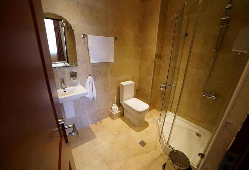 اتاق اکونومی, Syunik