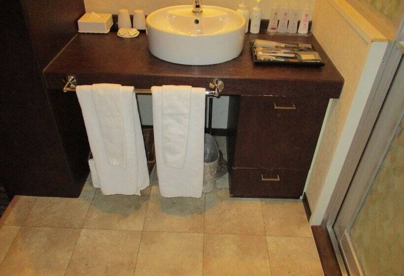 标准间, Rplus Adults Only