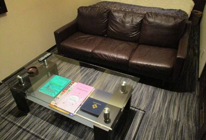 高级大房间, Rplus Adults Only