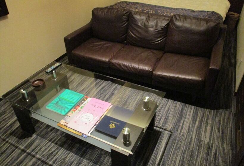 高级大房间, Rplus Adults Only