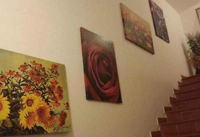 اتاق استاندارد, B&b Stella Dell'adriatico