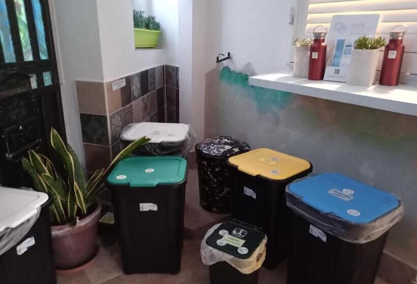 家庭房带园景, Il Giardino Di Tatiana Rooms & Breakfast