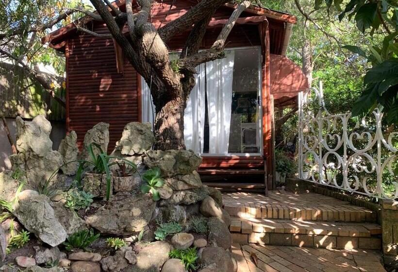 اتاق راحتی, The Little Hideaway Guesthouse
