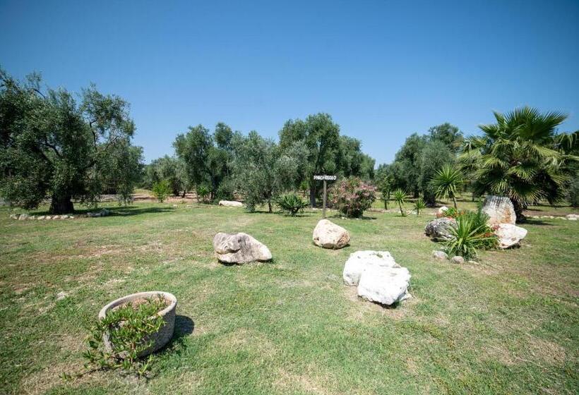 带大床的标准间, Coppola Rossa Relax