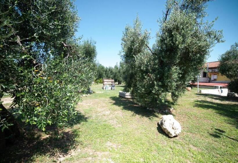 标准间, Coppola Rossa Relax