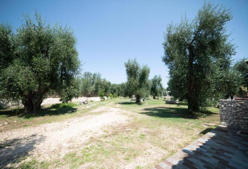 标准间, Coppola Rossa Relax