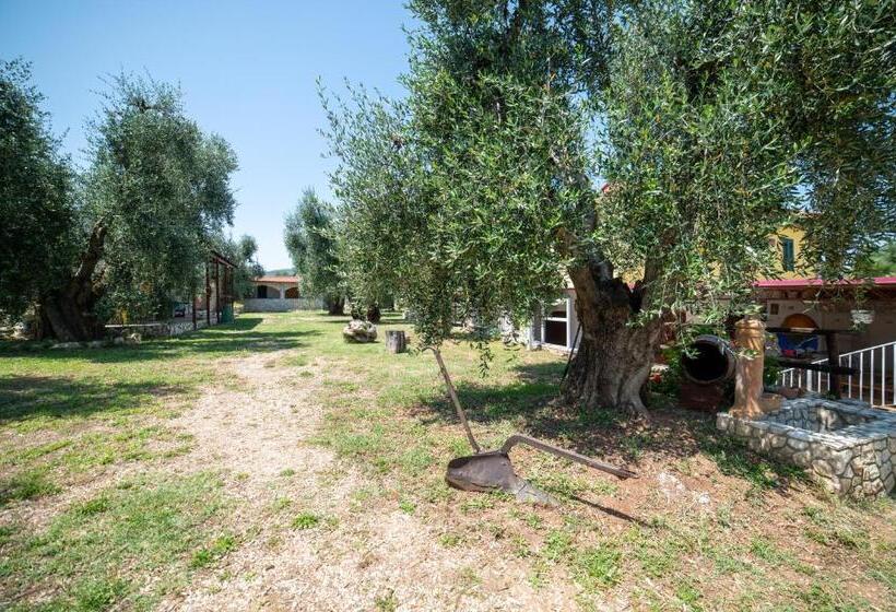 带大床的豪华间, Coppola Rossa Relax