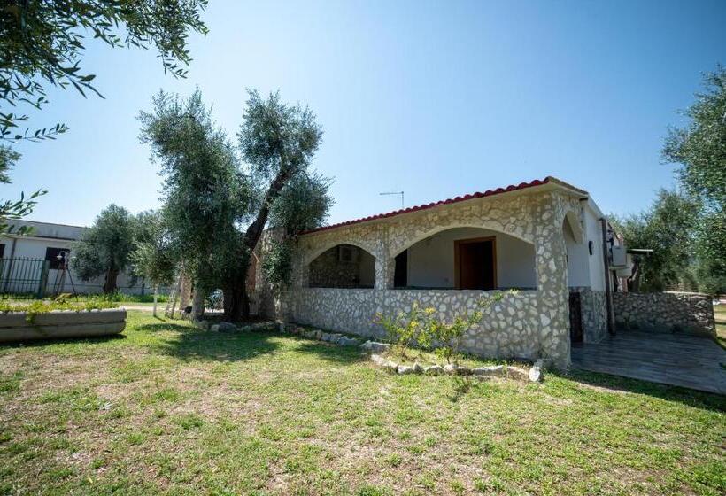 经典四人房间, Coppola Rossa Relax