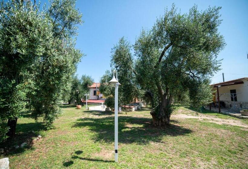اتاق کلاسیک چهارنفره, Coppola Rossa Relax