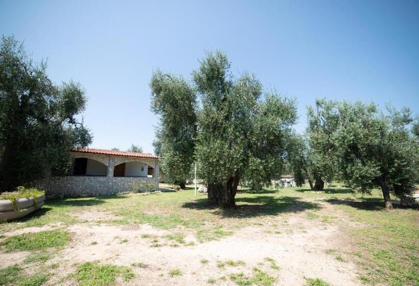 经典四人房间, Coppola Rossa Relax