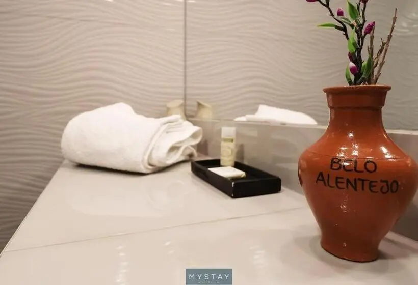 身障者適用スタンダードルーム, Mystay   Casa De Baco