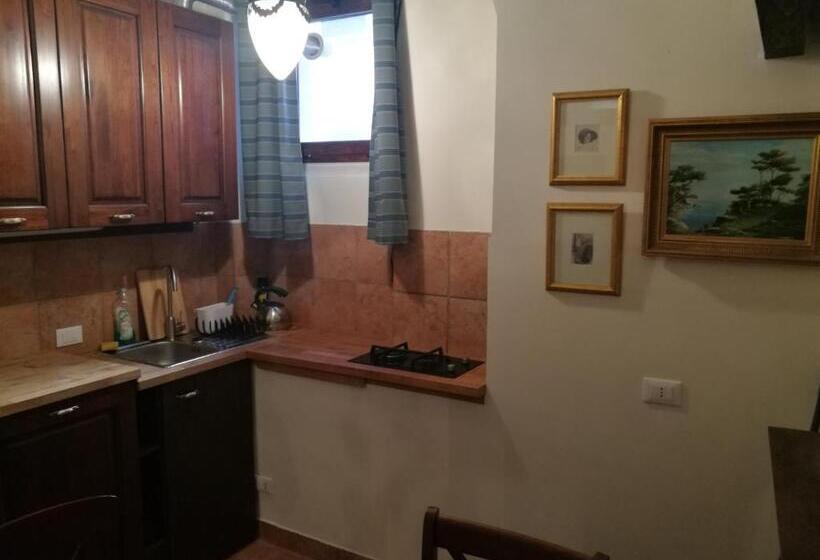 استودیوی استاندارد, Legacy