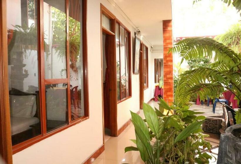 Номер Deluxe, Colonial   Honda