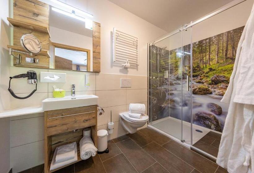 Апартаменты 2 Спальни, Apart Und Wellnesshotel Dachsteinresort