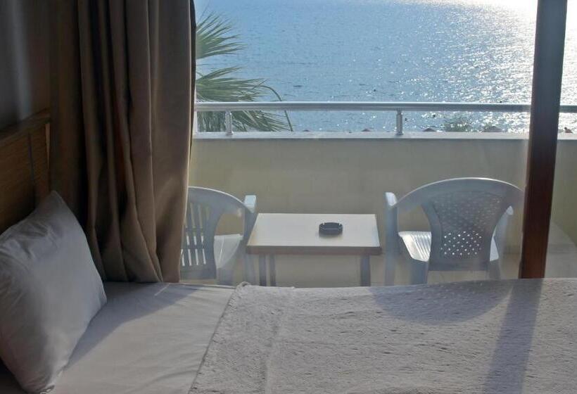 Quarto Estandar, Dikelya