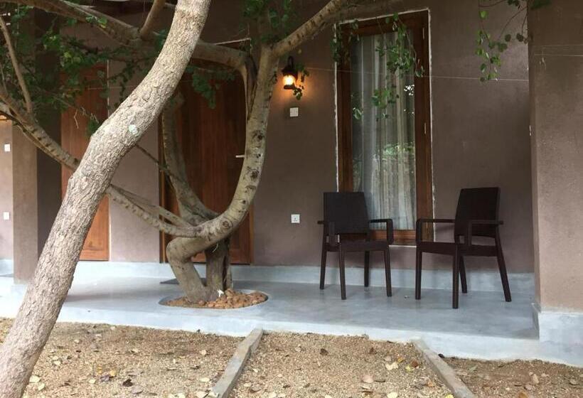 Dört Kişilik Standart Oda, Hantara Udawalawa