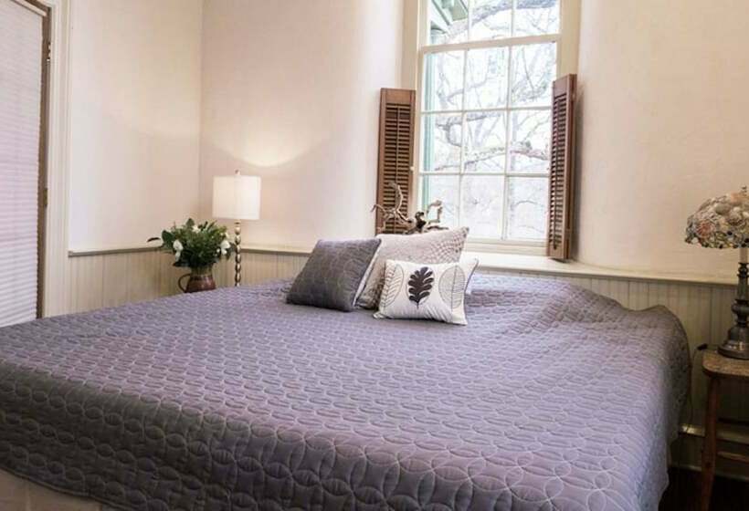 Номер Стандарт, The Buck School Inn