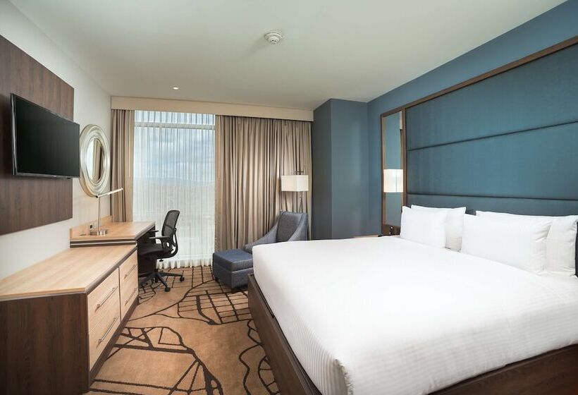 스탠다드 룸 더블 침대, Hilton Garden Inn Bogota Airport
