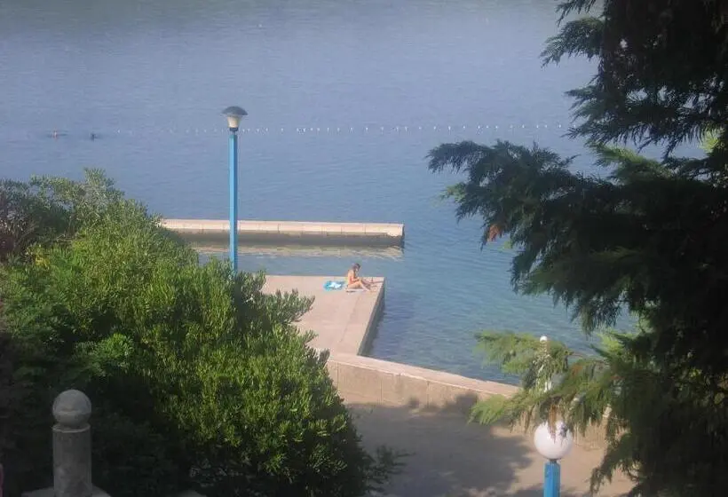 اتاق استاندارد با چشم‌انداز دریا, Zenit Neum