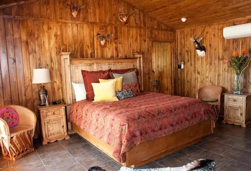 1ベッドルームアパートメント, Live Oaks Bed And Breakfast