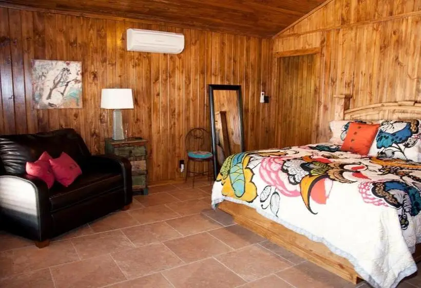 1ベッドルームのデラックスアパートメント, Live Oaks Bed And Breakfast