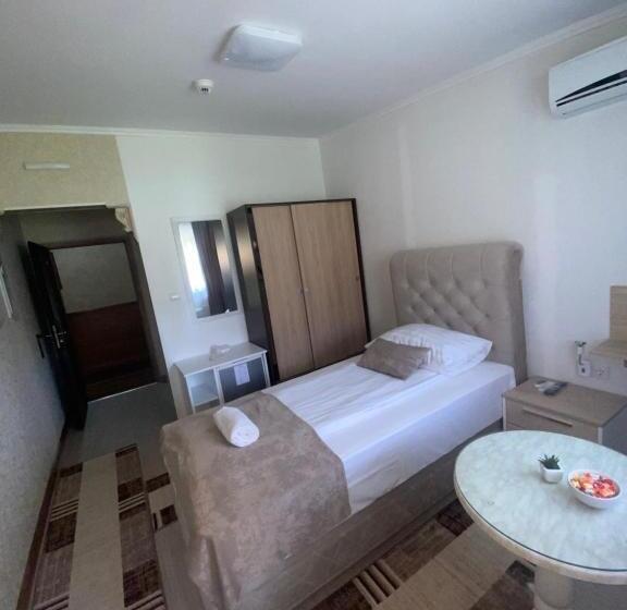 اتاق استاندارد یک نفره, New Milenium