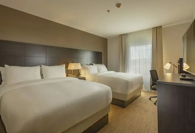 ２ベッドスイートルーム, Staybridge Suites   Irapuato, An Ihg