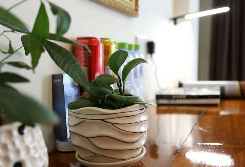 اتاق استاندارد, Sunny Sanya Destination  Haitang Bay