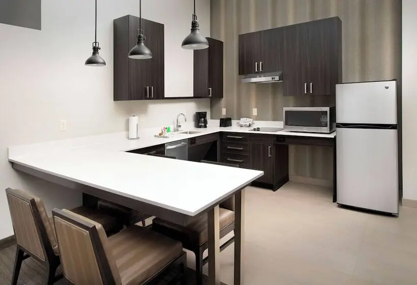 スタンダードスタジオ, Residence Inn By Marriott Denver Airport/convention Center