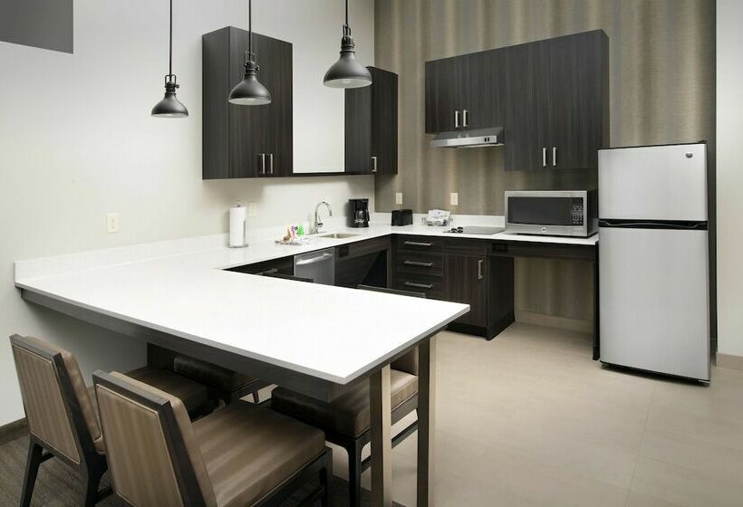 Студия Стандарт, Residence Inn By Marriott Denver Airport/convention Center