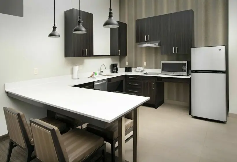 スタンダードスタジオ, Residence Inn By Marriott Denver Airport/convention Center