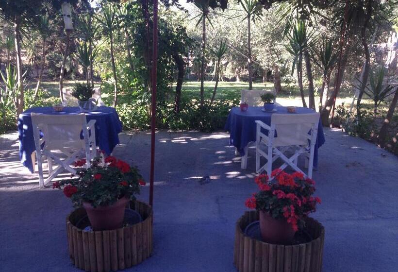 Студио Стандарт Вид на Сад, Land Of Gods