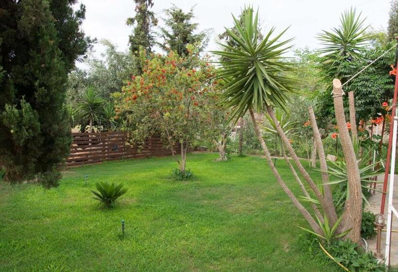 Студио Стандарт Вид на Сад, Land Of Gods